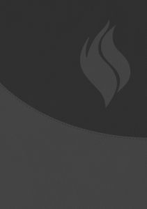 Biblia de Estudio Vida Plena - Ampliada y Actualizada (Imitación piel negro)