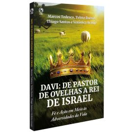 Davi: De Pastor de Ovelhas a Rei de Israel (Livro de Apoio Jovens)