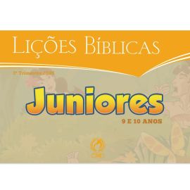 LIVRO DE VISUAIS JUNIORES (3 TRIMESTRE / 2026)