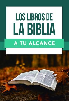 Los Libros De La Biblia A Tu Alcance