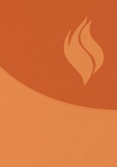 Biblia de Estudio Vida Plena - Ampliada y Actualizada (Imitación piel marrón)