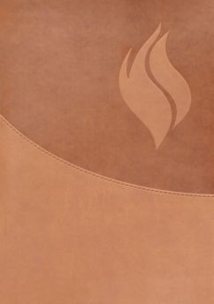 Biblia de Estudio Vida Plena - Ampliada y Actualizada (Imitación piel marrón)