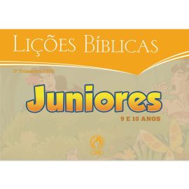Livro de Visuais Juniores (3 Trimestre/ 2025)
