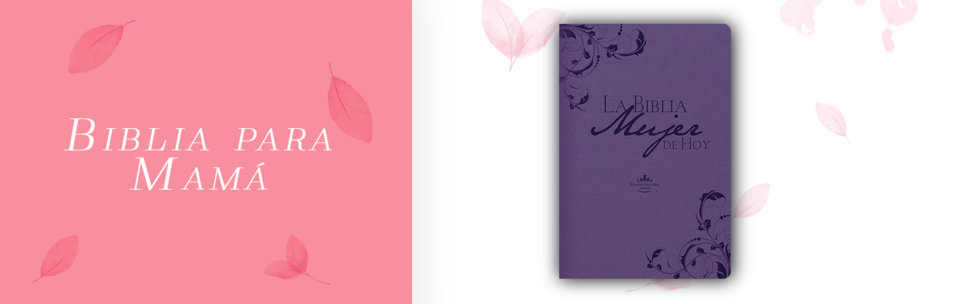 Slider nuevo