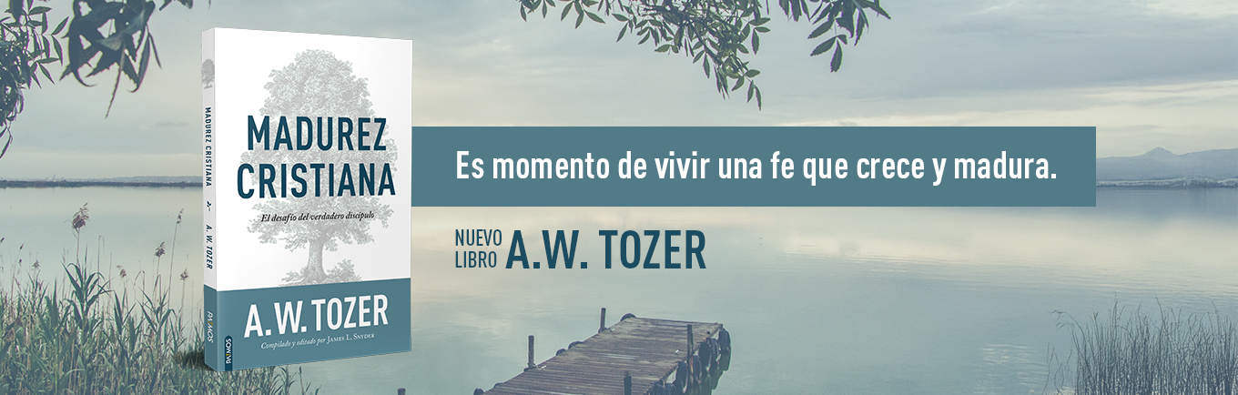 Slider nuevo