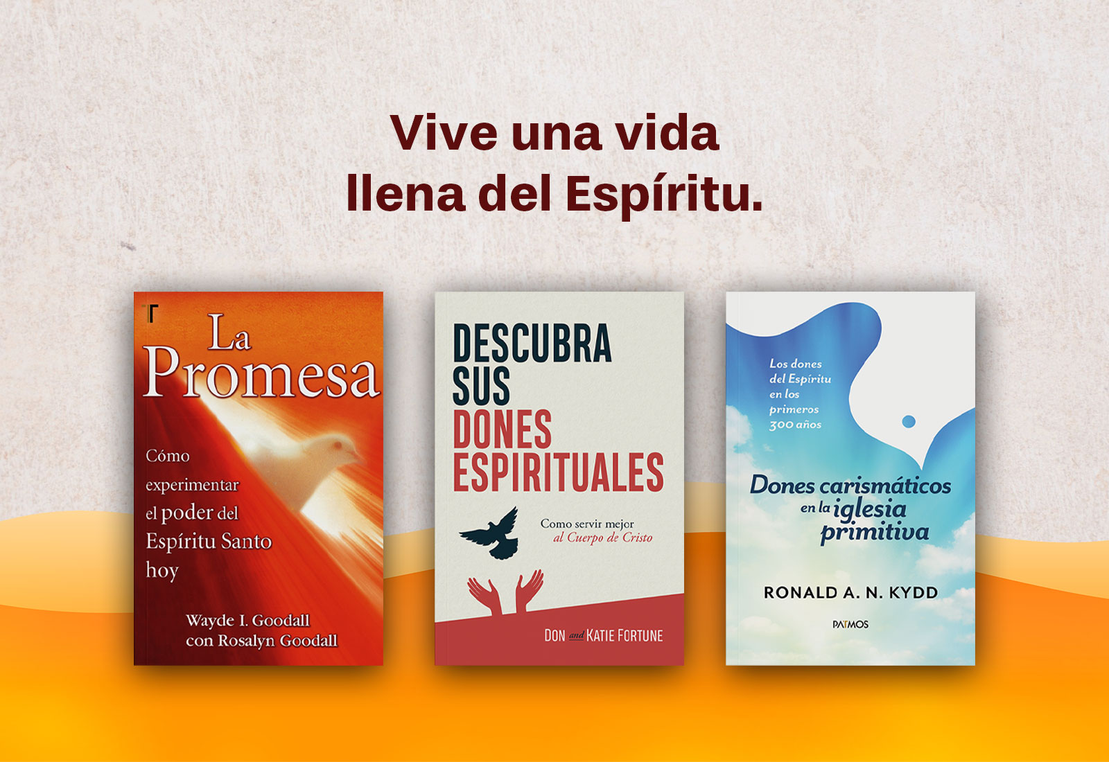 Slider nuevo