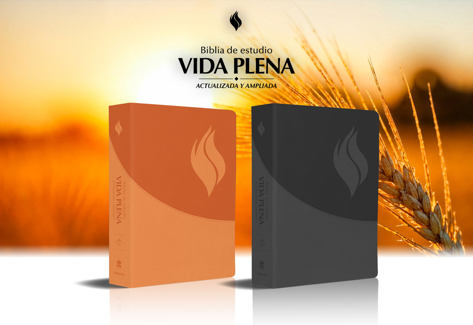 Slider nuevo