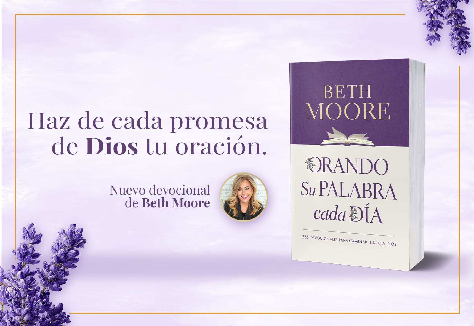 Slider nuevo